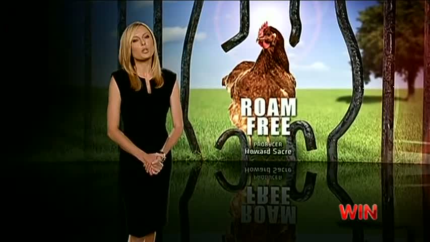 60 Minutes Australia - Roam Free - Chicken Meat _ Poultry 