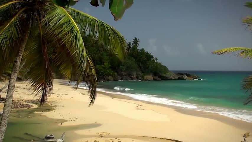 Welcome to Paradise- - by Welcome to Paradise Team