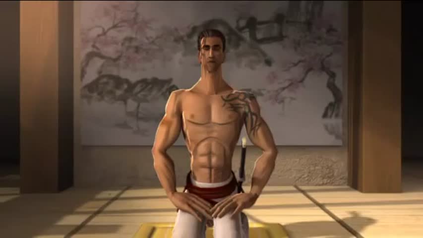 The Best Animation Work The Fly & Ninja Battle