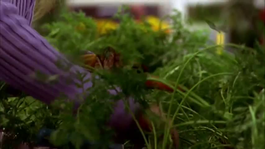 Smallville - Season 1 Episode 7 - Craving 