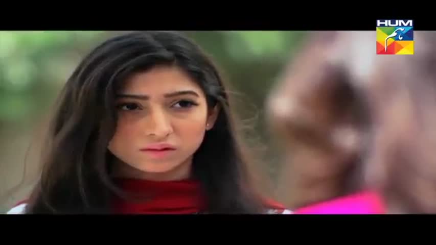 Haya Ke Daman Mein Episode 23