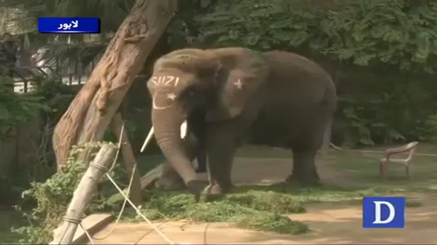 Amazing Sunday at Lahore Zoo