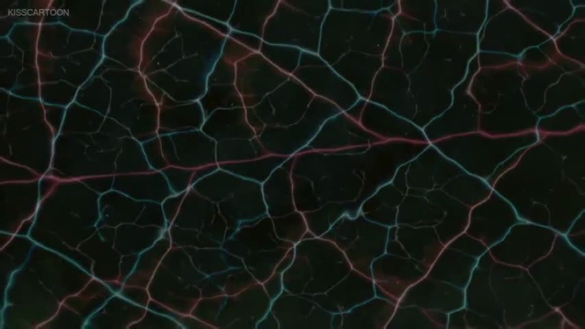 Ultimate Wolverine vs. Hulk Episode 003