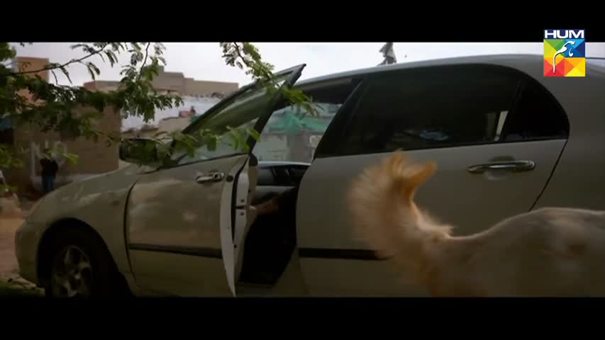 Yakeen Ka Safar Episode 13 HUM TV Drama - 12 July 2017