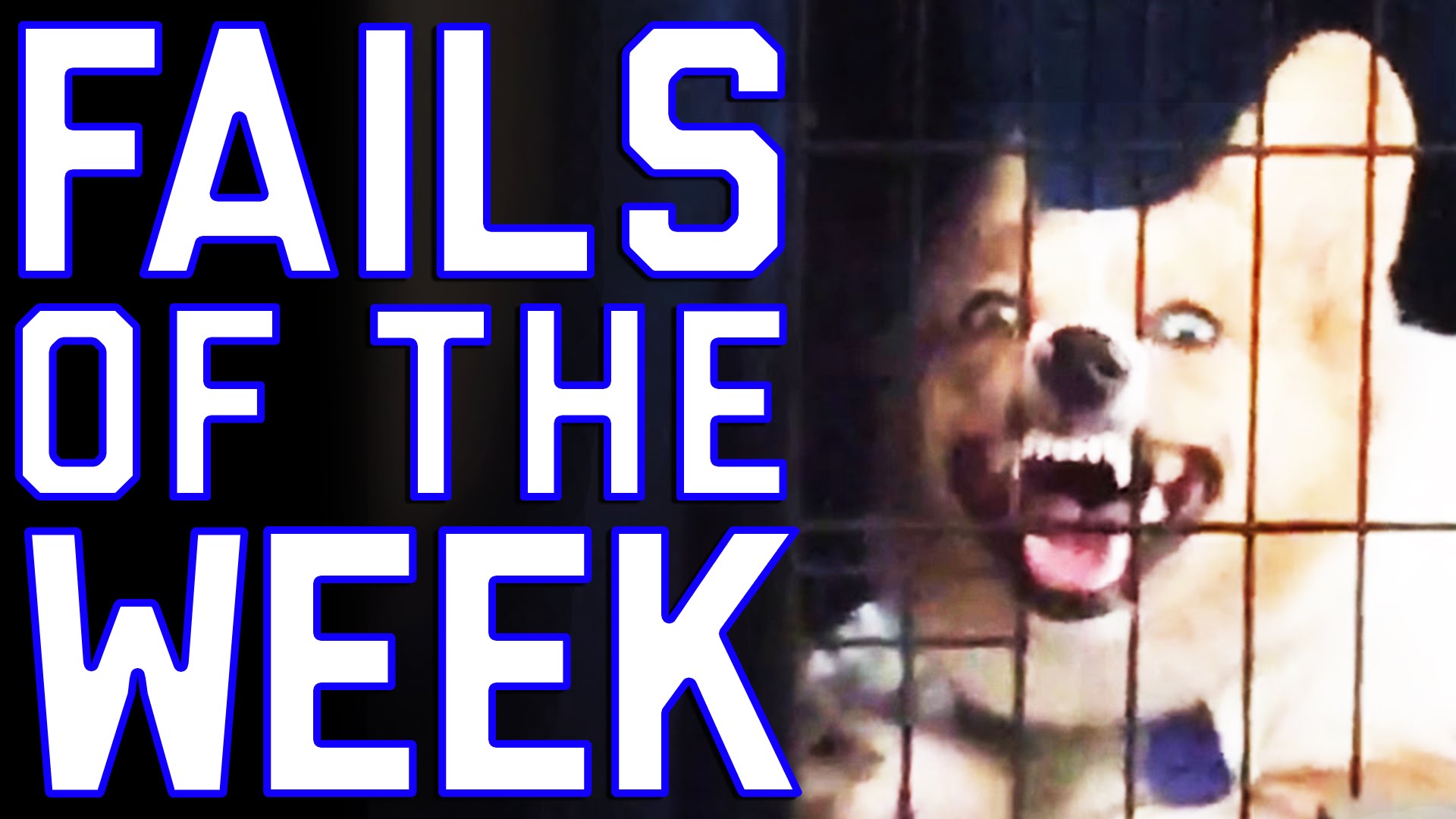 Fails of the Week 2 August 2016 || FailArmy 2016