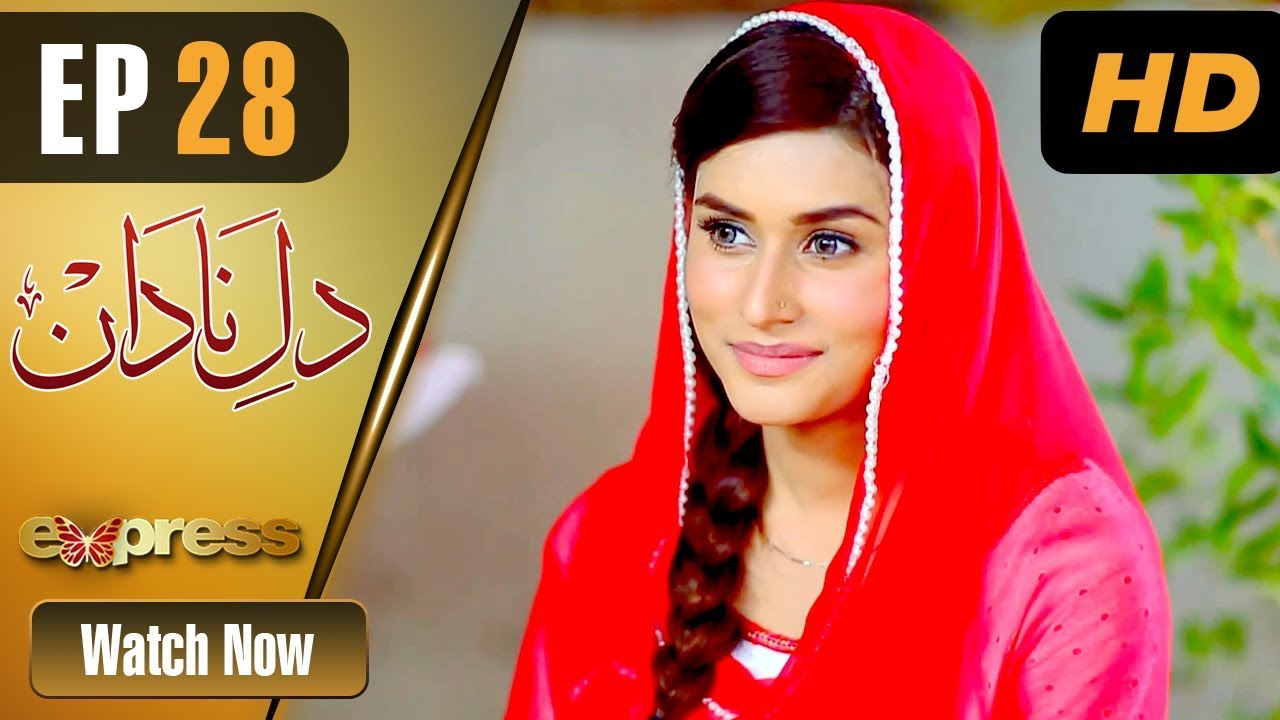 Dil e Nadaan - Episode 28