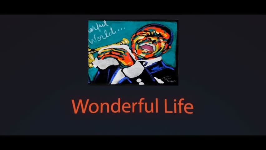 The Pilot and The Duck