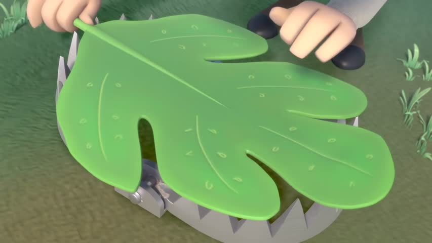 My Beary Best Friend Short Film- by Luiza Alaniz