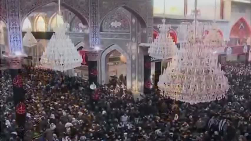 Shabihe Payambar Akbar Anjuman e Al Zulfiqar 2016