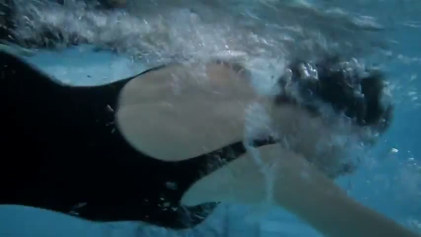 The Fall Season 1 Episode 4  My Adventurous Song