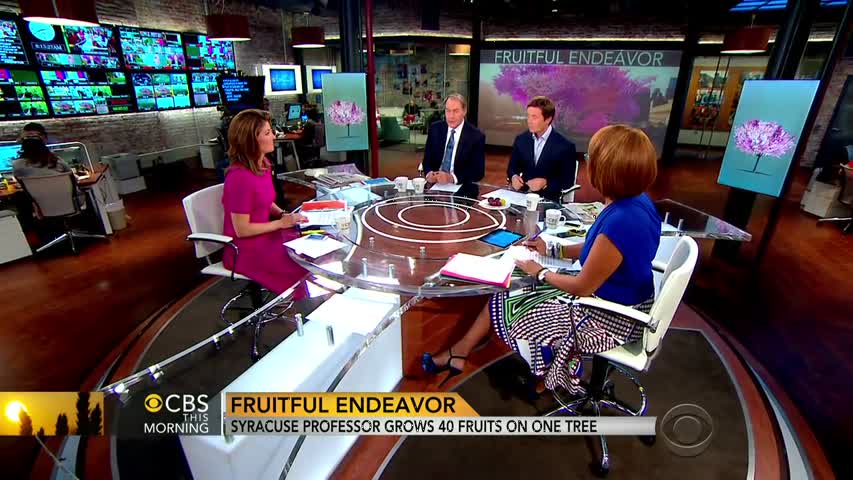 Syracuse professor grows 40 different fruits on one tree