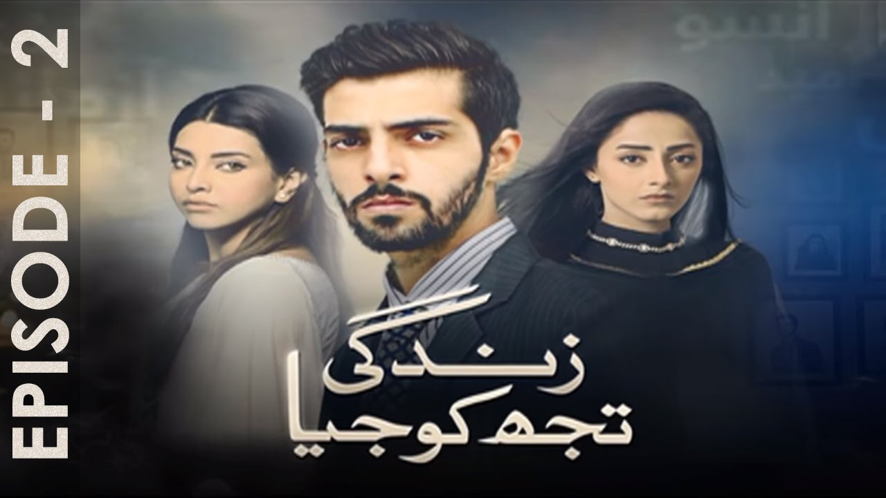Zindagi Tujh Ko Jiya Episode 2 Full HUM TV Drama 23 Feb 2016