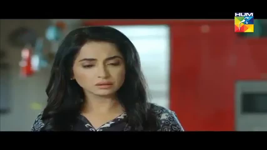 Woh Aik pal ep No#  13 HUM TV Drama 3 June 2017 must watch