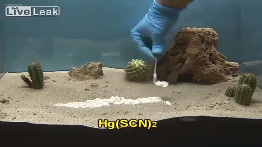 Wierdest Chemical Reaction I have Ever Freaking Seen