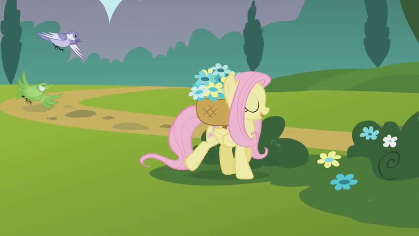 My Little Pony: Friendship is Magic - Season 1Episode 10: Swarm of the Century