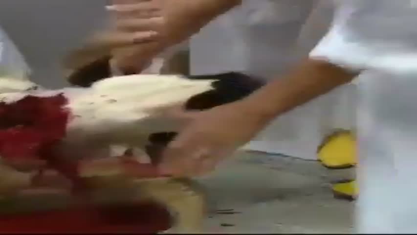 MARAKISH k hukum-rano Ki Qurbani...