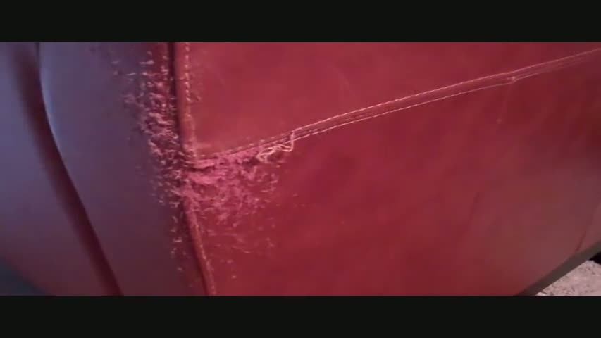 Cat Scratched Leather Sofa - QUICK EASY REPAIR