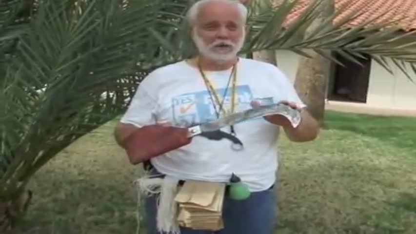 Date Palm Pollenation