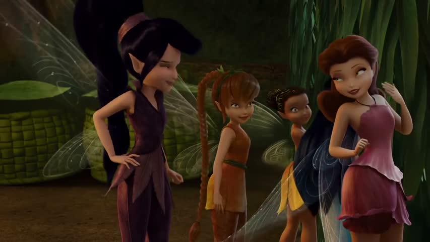 Tinkerbell And The Pirate Fairy