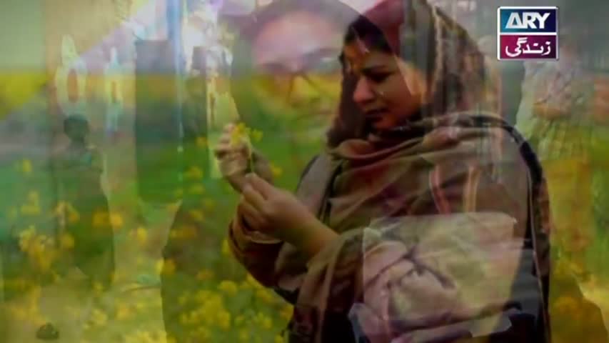 Salam Zindagi - Women's Day Special - 8th March 2017