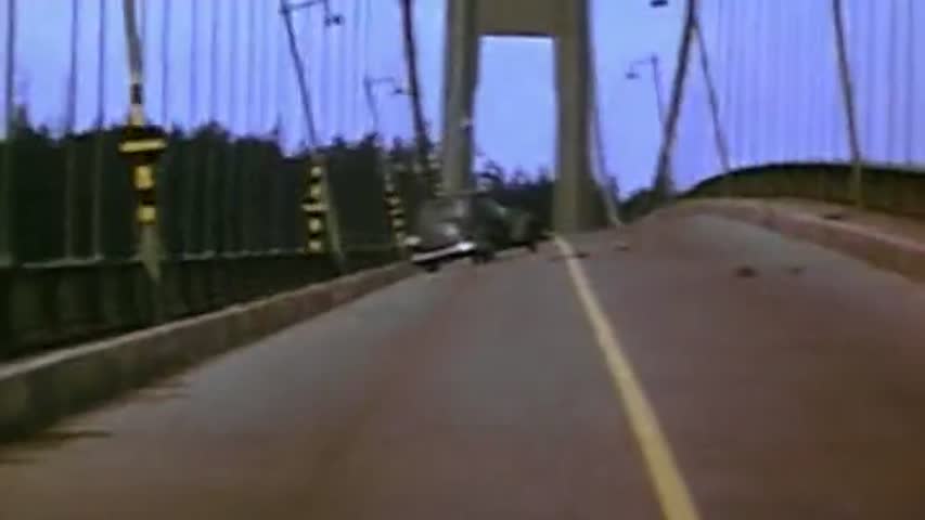 MythBusters - Season 1 Episode 12 - Chicken Gun