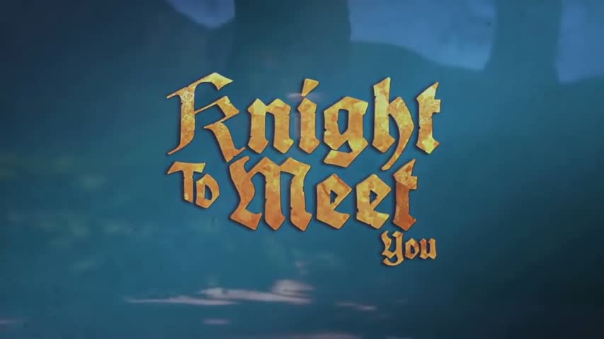 Funny Cartoon about Knight