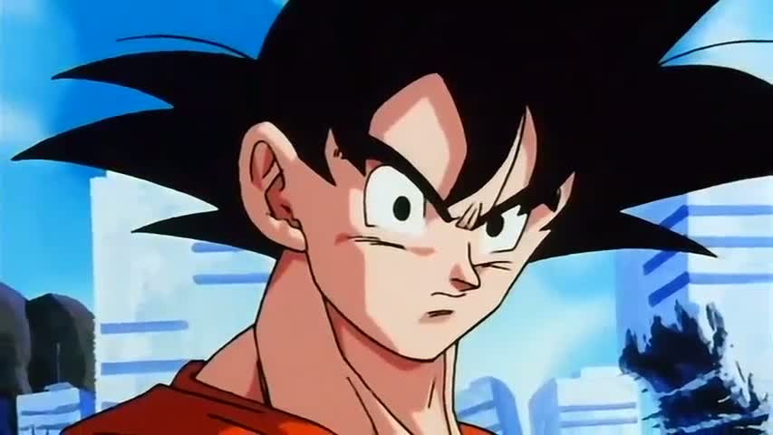 Dragon Ball Z - Season 8Episode 11 : The Long Awaited Fight  