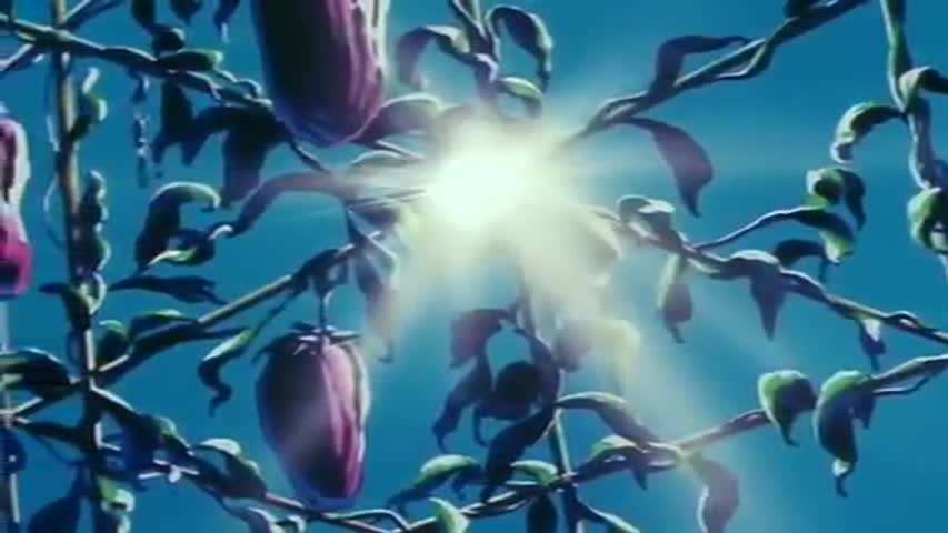 Dragon Ball - Season 3 Episode 25 : The Eternal Dragon Rises