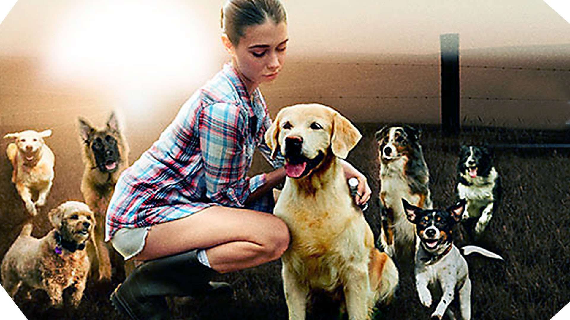 THE DOG LOVER Trailer (2016)