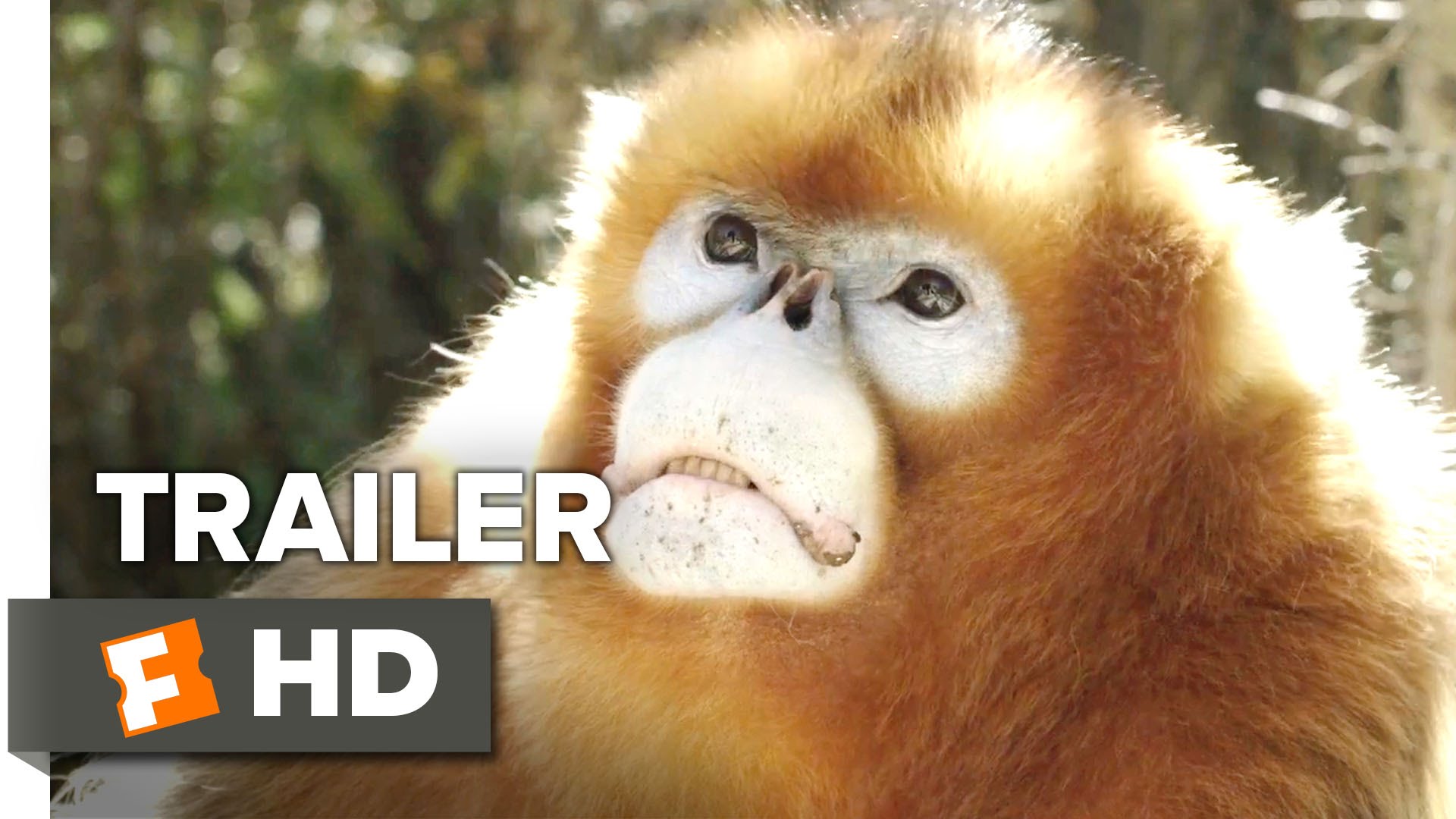 Born in China Official 'Earth Day' Trailer (2017) 