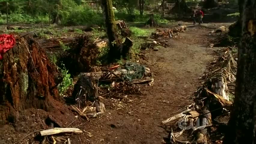 Smallville - Season 7 Episode 2 - Kara 