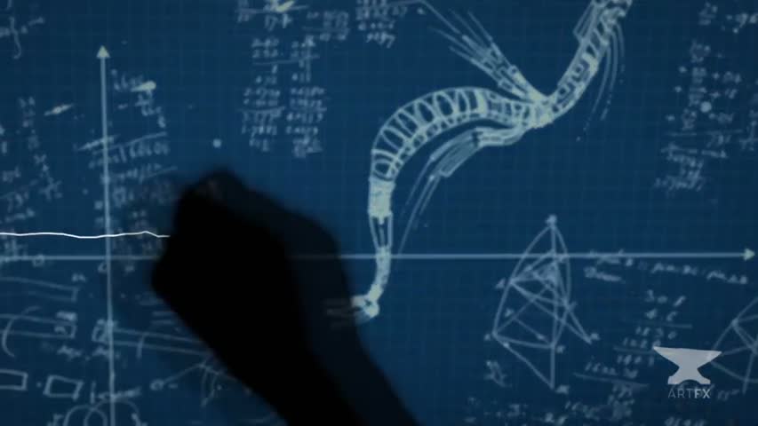 Funny Adventurous Animation 