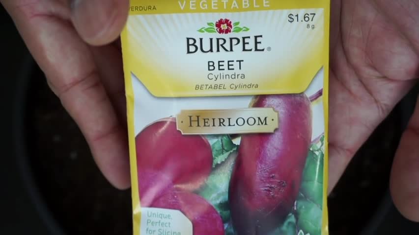 How to Grow Beets!