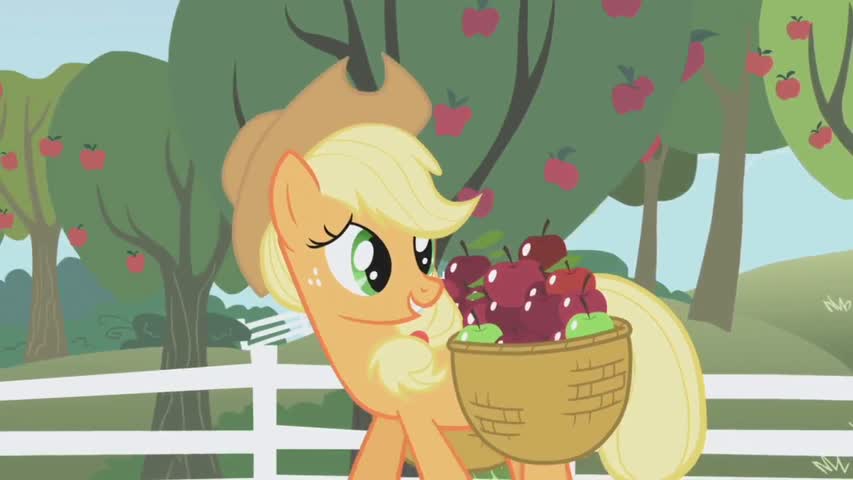 My Little Pony: Friendship is Magic - Season 1Episode 3: The Ticket Master