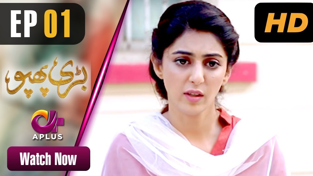 Bari Phuppo Episode 1 Aplus Dramas 
