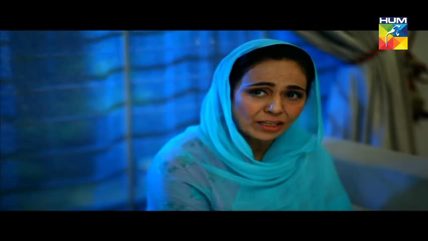 Adhi Gawahi Episode 12 HUM TV Drama - 10 August 2017
