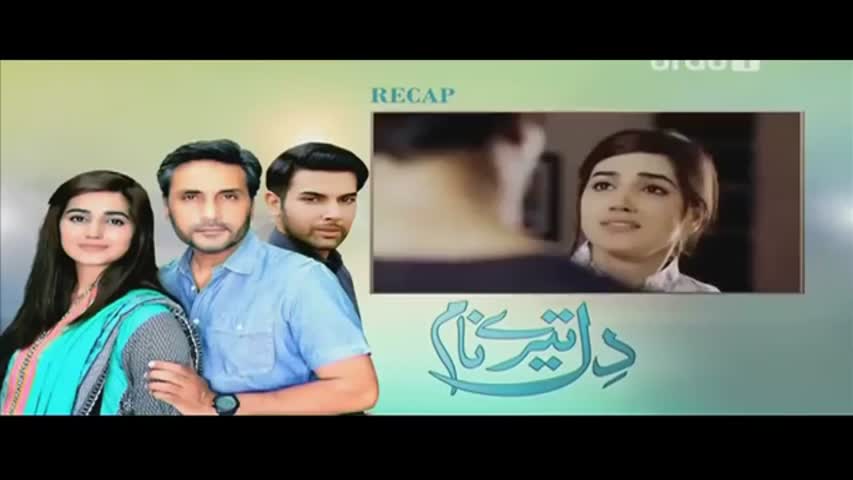 Dil Teray Naam Episode 12