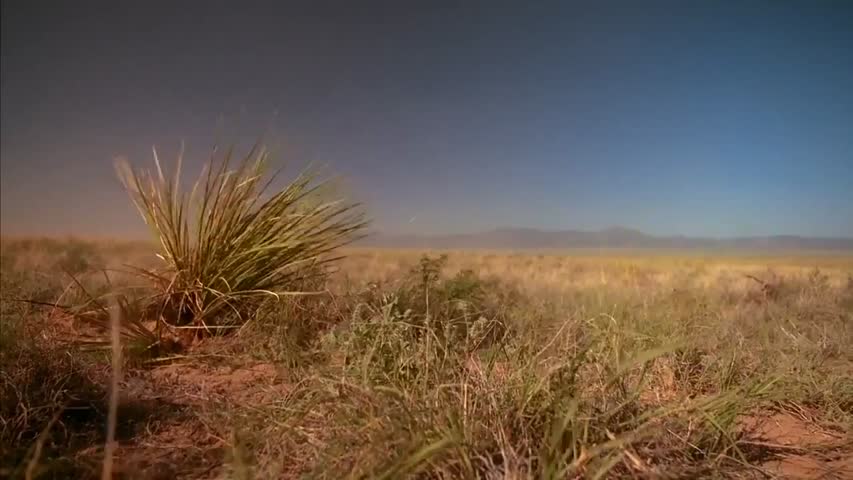 Breaking Bad 5 S01 E5 Dead Freight