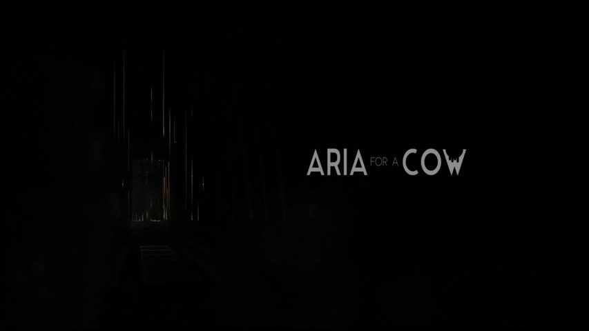 Aria for a Cow Short Film- by Aria for a Cow Team 