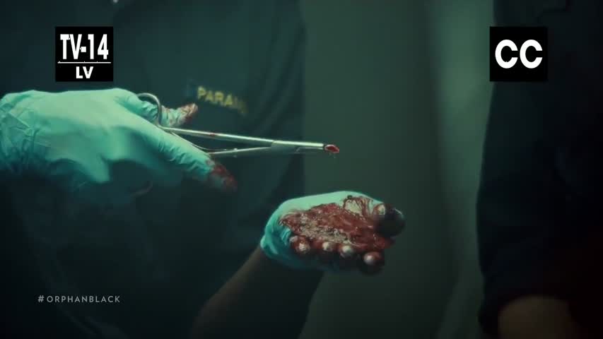 Orphan Black Season 4 Episode 2 TBA