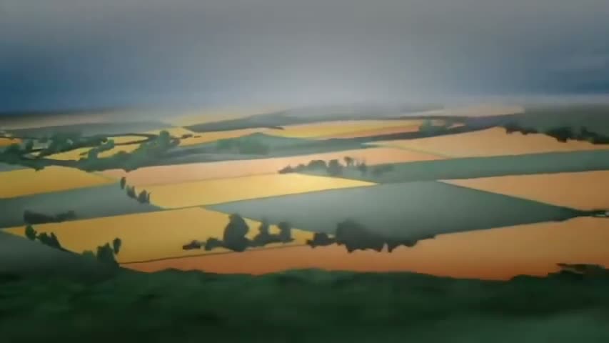 The best animation movies for