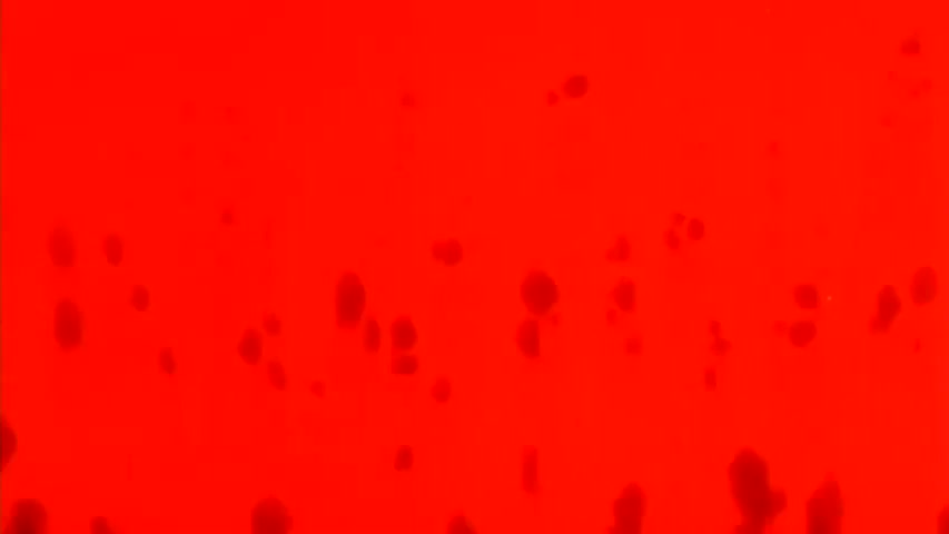 Dragon Ball Z - Season 2Episode 23 : New Ally, New Problem