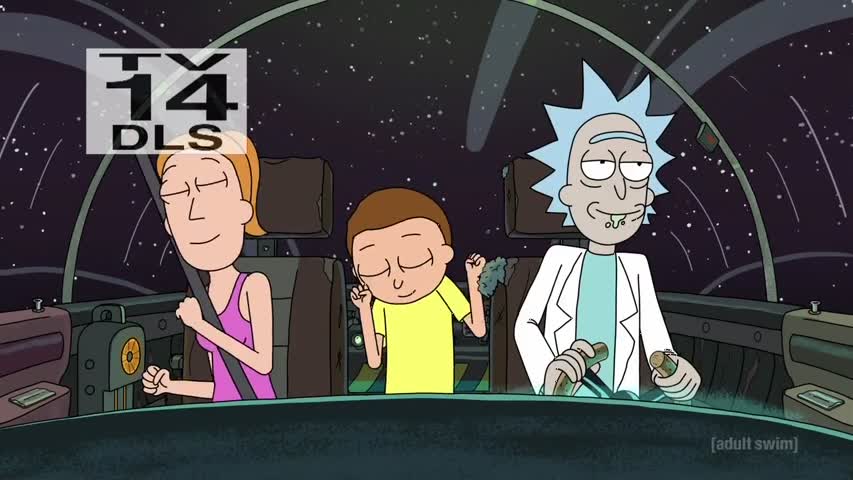Rick and Morty S02E03: Auto Erotic Assimilation 