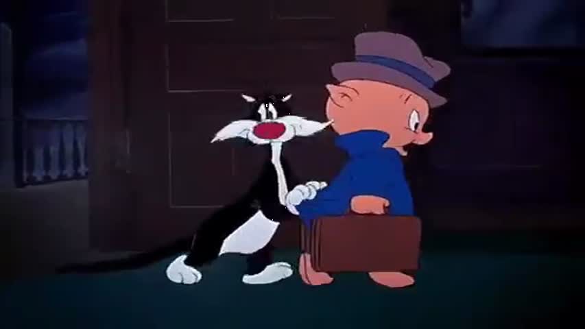 Looney Tunes - Volume 1 Episode 18: Scaredy Cat