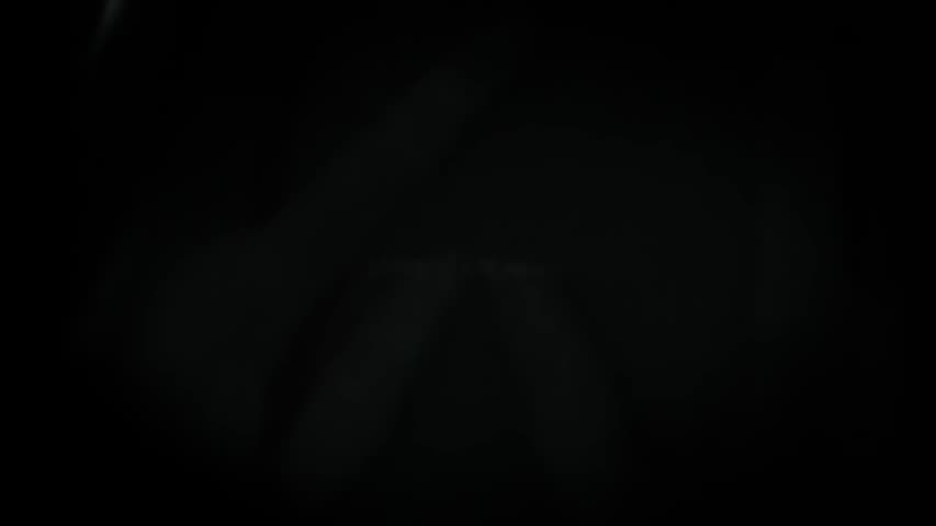 The Origin of Creatures