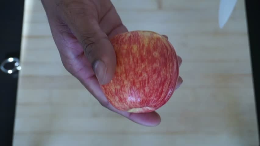How to Grow an Apple Tree From Seed! 