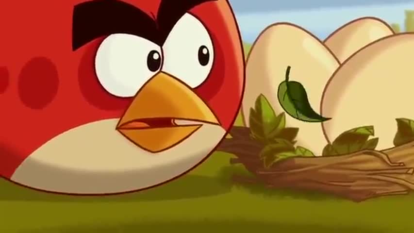 Angry Birds Toons - Season 1Episode 22: Eggs Day Out