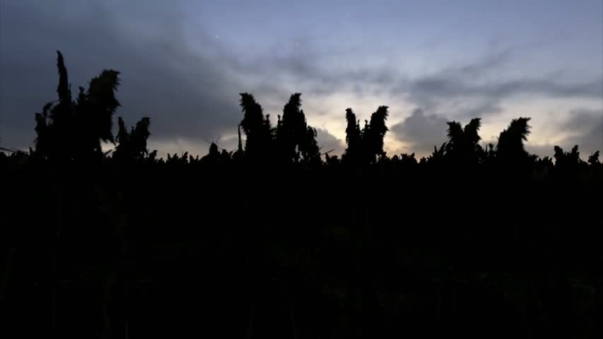 Animation Short Film -HOPE