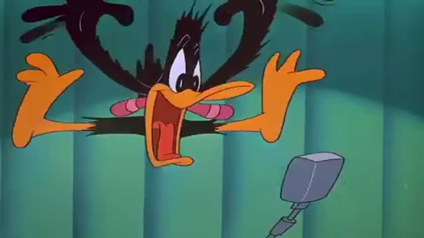 Looney Tunes - Volume 1Episode 19: The Ducksters