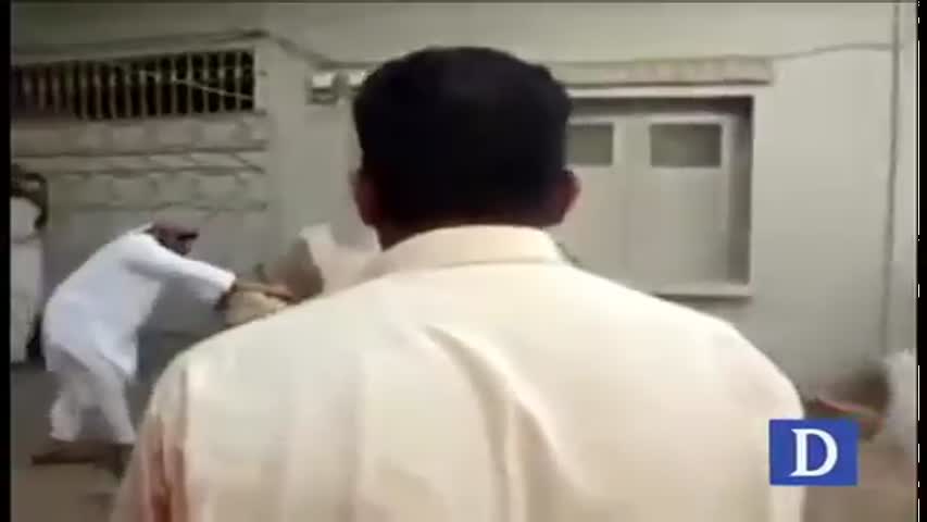 a new way to capture a cow